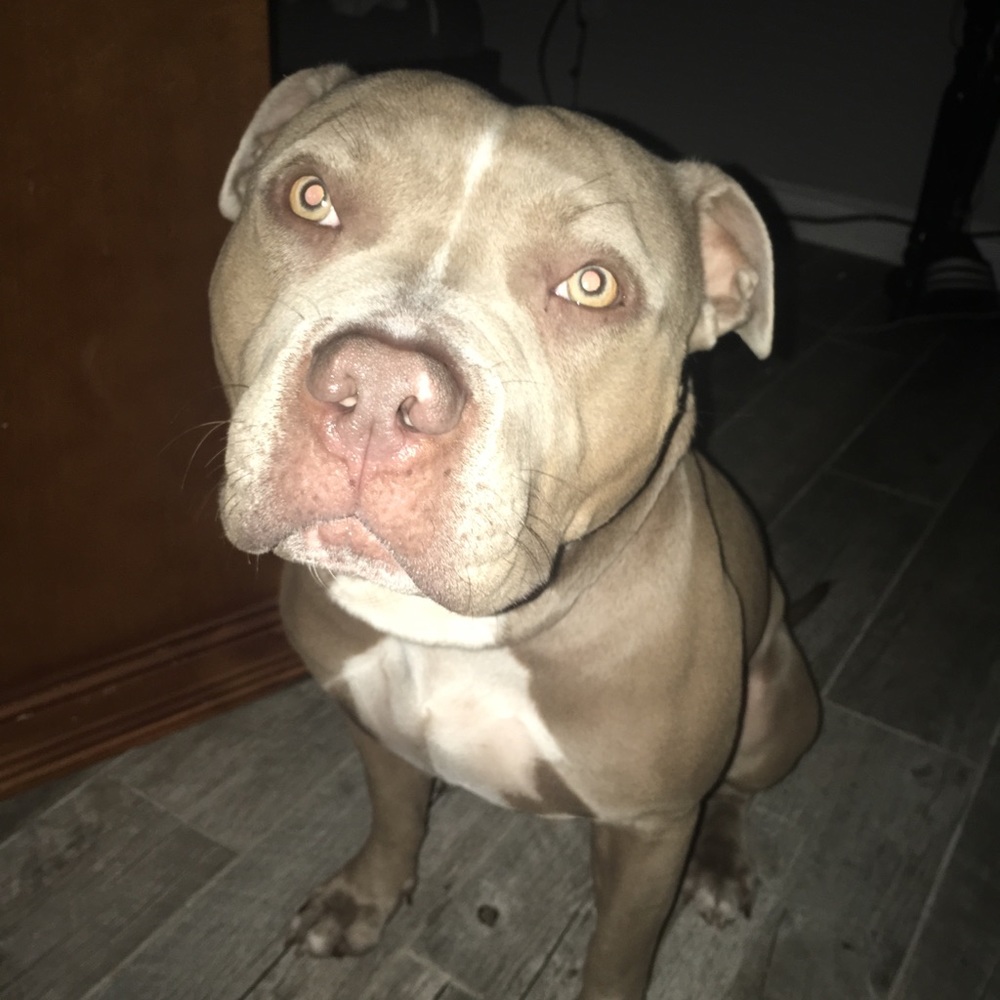 Meet your Posher, Alberto